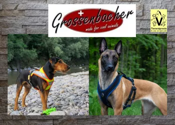 Grossenbacher Hundegeschirre Grossenbacher Hundegeschirre